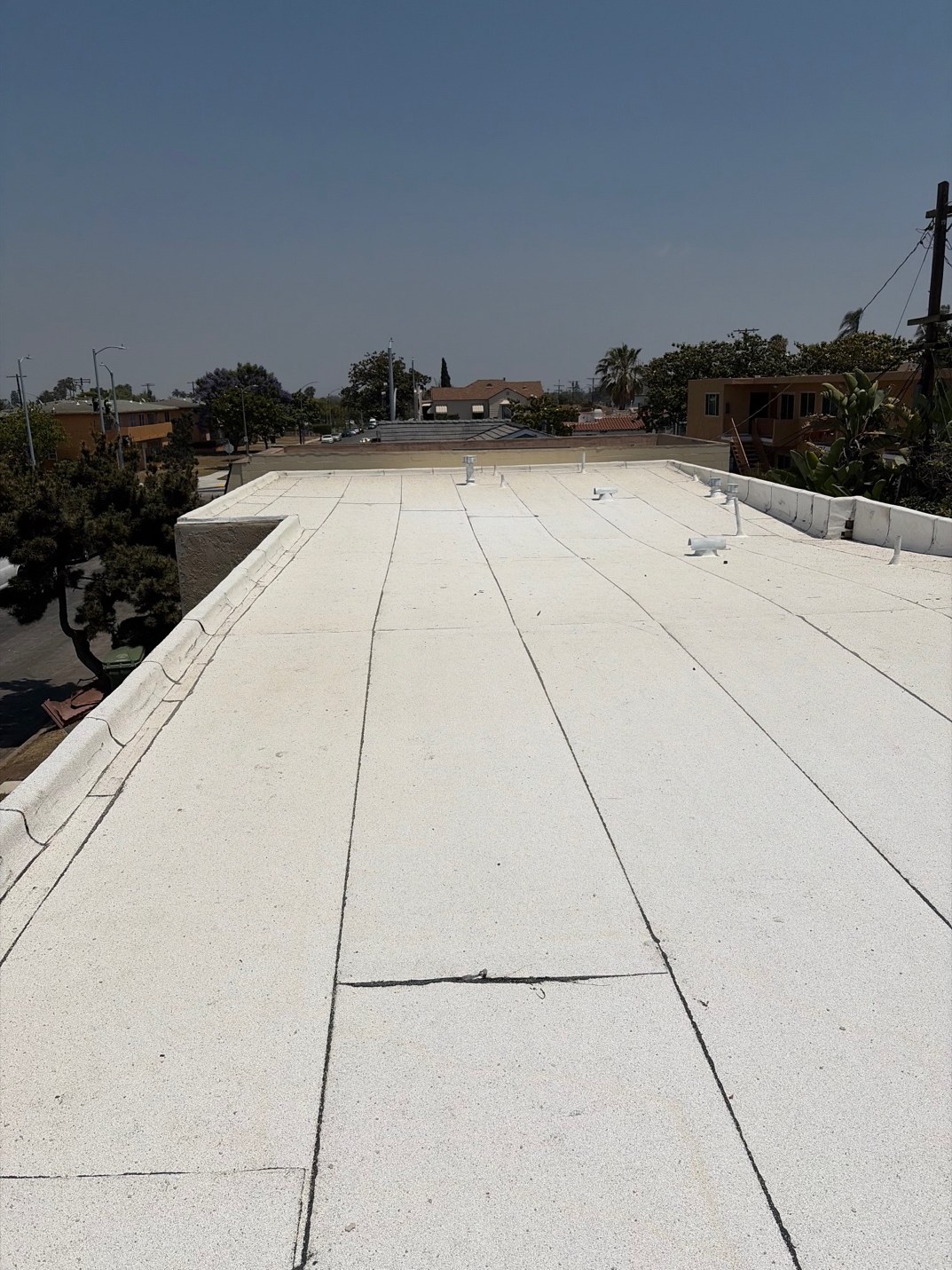 Flat roof replacement on a Los Angeles apartment building paired with Teresa's customer review